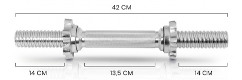 Gryf Gwiazdkowy 42cm krótki