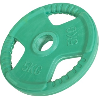 5 kg Obciążenie Gumowane grip 31mm kolor