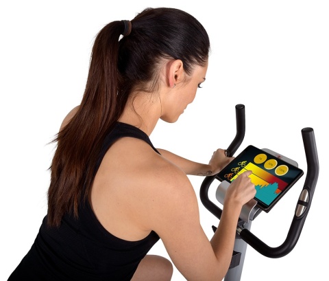 Rower Christopeit AL2 srebrny